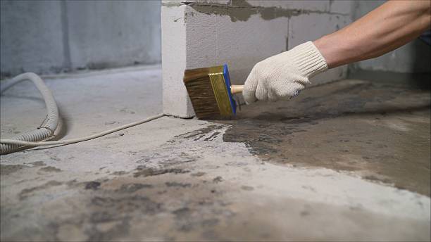 Top rated local Wet Basement Repair specialists in Potwin, KS